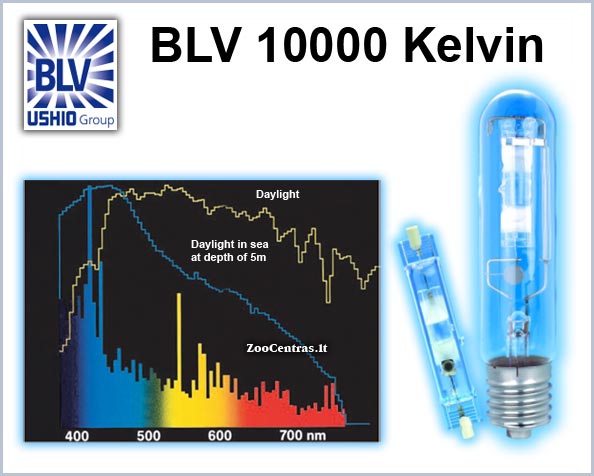 BLV Light - NEPTURION, HQI Lempa 150w, 10.000k, RX7s-24
