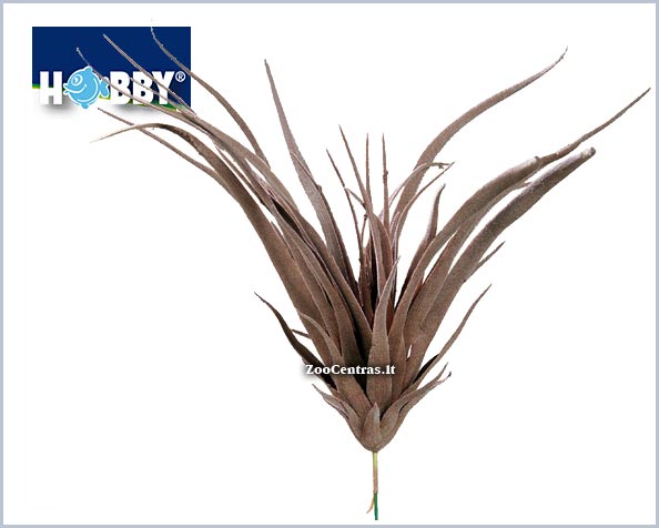 Hobby - Dirbtinis augalas Sonora, 30cm