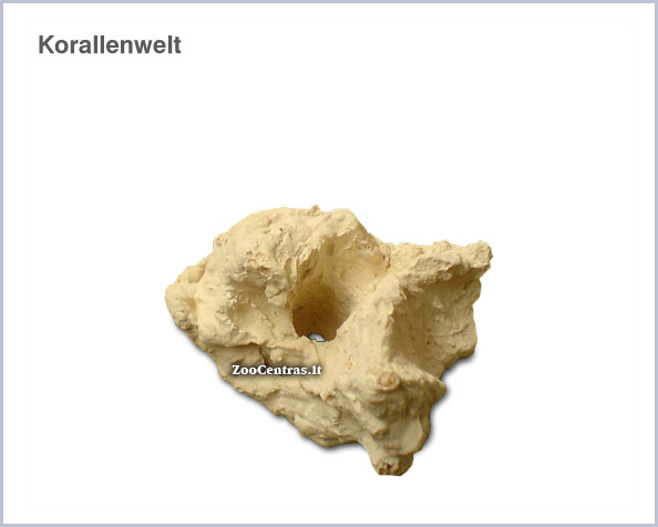 Korallenwelt - Akmenukas SPS koralų fragmentams