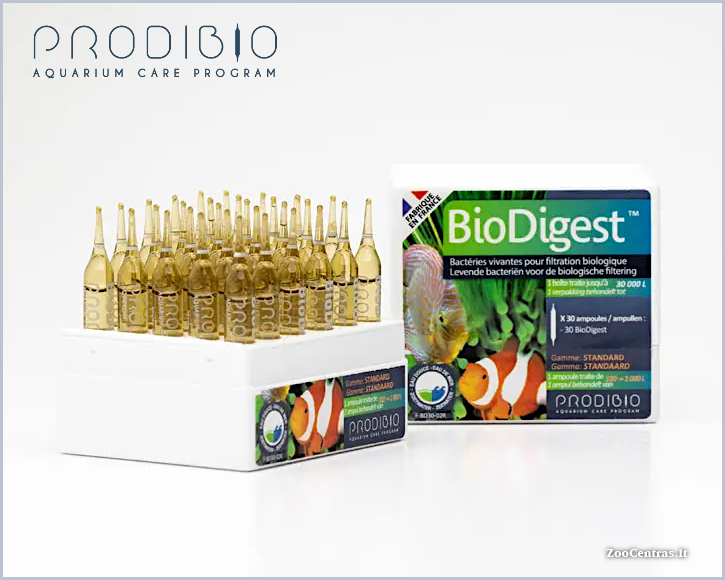 Prodibio - BioDigest, Bakterijų tirpalas 30 ampulių