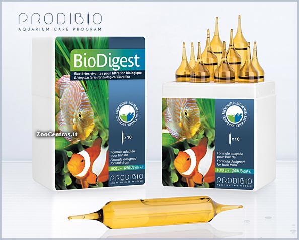 Prodibio - BioDigest Pro, Bakterijų tirpalas 10 ampulių